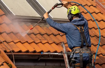Démoussage et hydrofuge de toiture à Saint-Martin-de-Bienfaite-la-Cressonnière